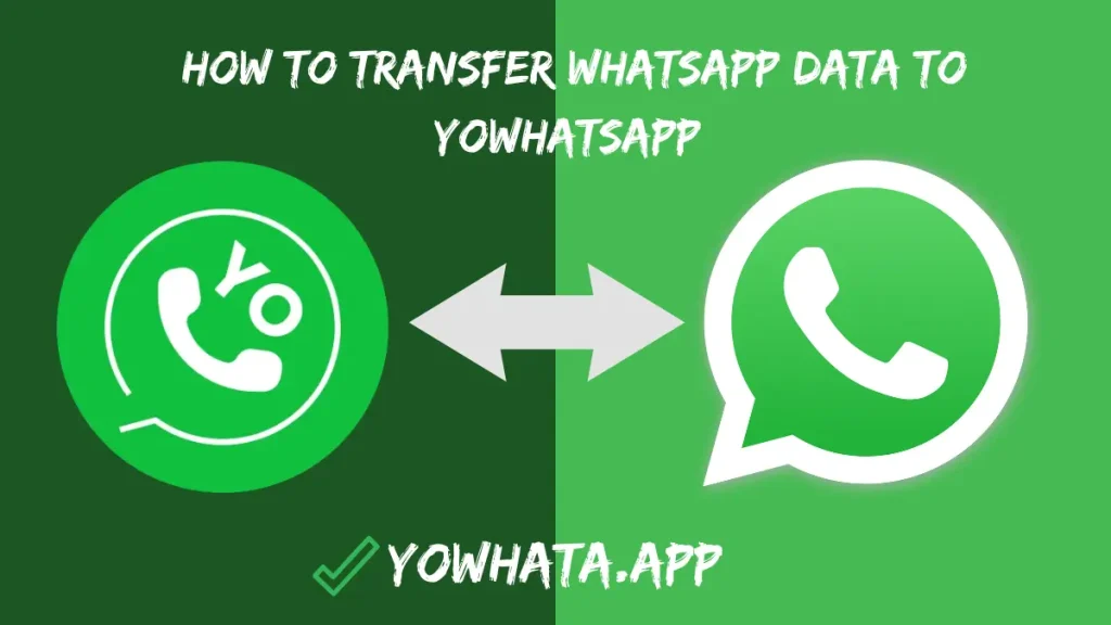 How to Transfer WhatsApp Data to YoWhatsApp