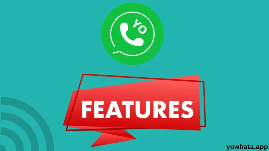 YO WhatsApp features